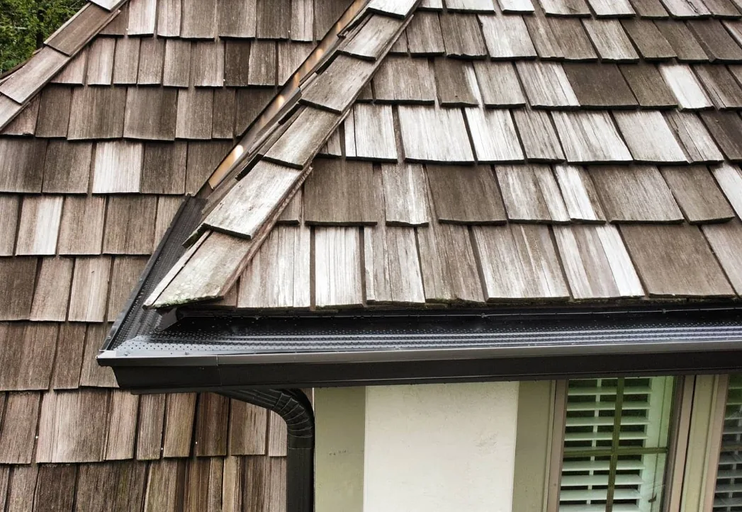 Gutter Guards 3 Leaves and debris collecting along a Chicagoland roofline