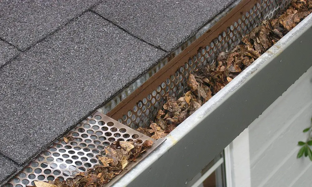 Gutter Maintenance Tips (Top 6 Must-Dos) 2 image 7